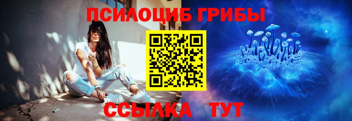 Кольчугино  наркотики  Вход с VPN  Галлюциногенные грибы Magic Shrooms  Галлюциногенные грибы MAGIC MUSHROOMS 